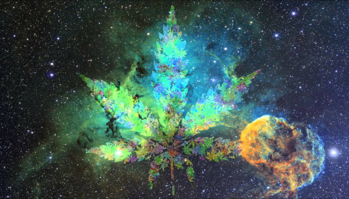 Weed Universe Wallpaper